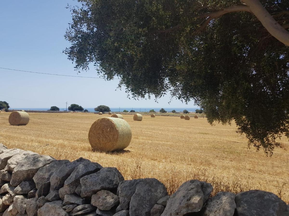 Homidoo Carrubo Daire Santa Croce Camerina Dış mekan fotoğraf